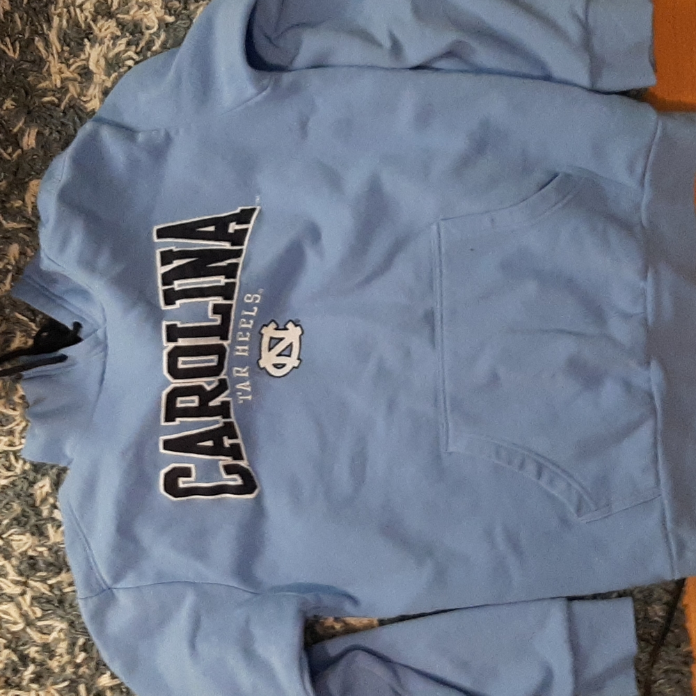 Carolina champion hoodie